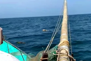 Hiện trường phát hiện thi thể thuyền viên nổi trên biển 