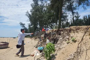 Ông Phan Vĩnh Tuy lo lắng tình trạng sạt lở bờ biển ngày càng nghiêm trọng 