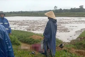 Đang gieo lúa trên đồng, một người đàn ông bị sét đánh tử vong 