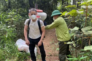 Huy động nhân lực, máy móc phun thuốc phòng trừ sâu róm gây hại rừng thông Hồng Lĩnh