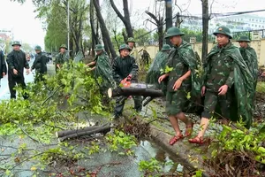 Cán bộ, chiến sĩ cắt tỉa cây đổ ngã sau bão 