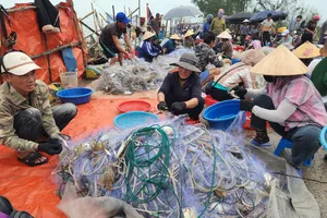 Những mẻ lưới dày đặc ghẹ biển tươi sống 