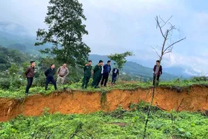 Cơ quan chức năng kiểm tra hiện trường nứt sụt đất tại ngọn đồi ở xã Sơn Kim 2 