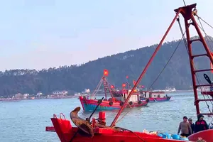 Cửa biển Cửa Lò (Nghệ An) tấp nập các tàu thuyền ra vào hàng ngày