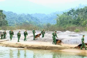 Bộ đội Biên phòng tỉnh Hà Tĩnh làm nhiệm vụ tuần tra khu vực biên giới