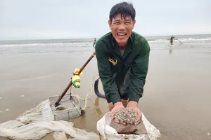 Người dân phấn khởi cào được nhiều ốc tép biển