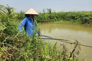 Chị Nguyễn Thị Thủy phải bơm nước hồ về sử dụng