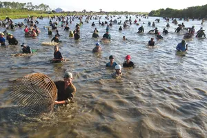 Độc đáo lễ hội đánh cá dưới chân núi Hồng Lĩnh