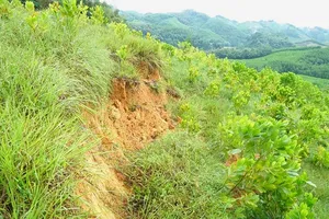 Thanh Hóa: Xuất hiện vết nứt trên đồi, sơ tán khẩn cấp 14 hộ dân