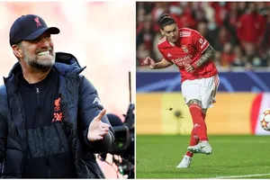 HLV Jurgen Klopp thừa nhận ngay lập tức muốn có Darwin Nunez sau khi xem anh ở Champions League mùa qua.