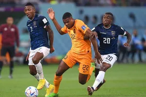 Ecuador hòa 1-1 trước Hà Lan và cùng có nhiều cơ hội tiến vào vòng 1/8.