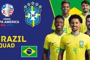 Đội tuyển Brazil