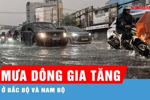 Nam bộ giảm mưa trong ngày 12 và 13-8