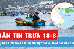 Bản tin trưa 18-8: Dự báo Biển Đông sắp có gió giật cấp 8, sóng cao đến 3,5m