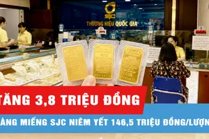 giá vàng 20-08