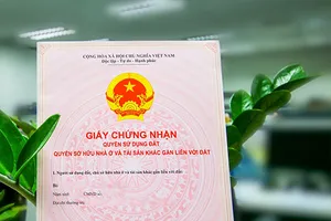Nhịp cầu cử tri: MẢNH ĐẤT VÀ SỔ HỒNG