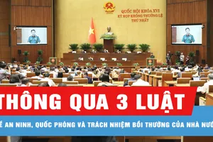 Quốc hội thông qua 3 luật về an ninh, quốc phòng và trách nhiệm bồi thường của Nhà nước