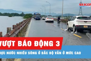 Nhiều sông ở Bắc bộ có lũ trên báo động 3, nước sông Cửu Long tiếp tục lên nhanh