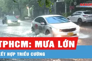 TPHCM: Cảnh báo triều cường tăng nhanh trên sông Sài Gòn