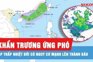Khẩn trương ứng phó áp thấp nhiệt đới có nguy cơ mạnh lên thành bão