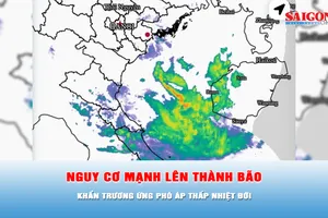 Podcast tin thời sự ngày 31-8: Ứng phó áp thấp nhiệt đới khả năng thành bão
