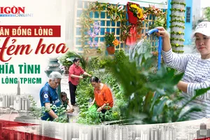 TPHCM: Nhiều hẻm hoa xanh mát nhờ người dân đồng lòng