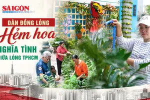 TPHCM: Nhiều hẻm hoa xanh mát nhờ người dân đồng lòng
