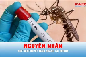 Podcast bản tin thời sự ngày 10-9: Nguyên nhân số ca mắc sốt xuất huyết tăng nhanh tại TPHCM
