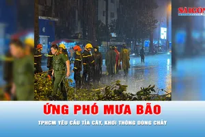 Podcast bản tin thời sự ngày 4-10: TPHCM yêu cầu tỉa cây, khơi thông dòng chảy, sẵn sàng ứng phó mưa bão