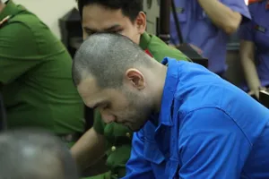 Người mẫu Đinh Nhikolai bị phạt 2 năm tù giam