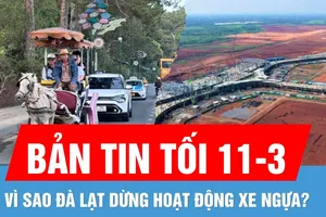 Bản tin tối 11-3: Điều chỉnh quy mô, tiến độ dự án xây sân bay Long Thành | Vì sao Đà Lạt dừng hoạt động xe ngựa?