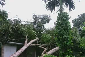 Podcast bản tin tối 10-5: Nhiều nơi thiệt hại do mưa đầu mùa | Pakistan: Phát động chiến dịch quân sự đáp trả Ấn Độ