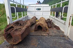 Podcast bản tin trưa 18-5: Sở Y tế TPHCM yêu cầu Bệnh viện Đa khoa Gia Định tạm ngưng phẫu thuật hút mỡ bụng | Phát hiện gỗ sưa tiền tỷ dưới lòng suối khi đi bắt cá