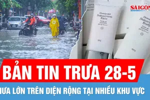 Bản tin trưa 28-5: Mưa lớn diện rộng | Dừng nhận hồ sơ công bố mỹ phẩm công ty chồng Đoàn Di Băng