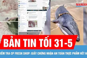 Bản tin tối 31-5: Cập nhật nóng vụ cửa hàng bị tố "tuồn" thịt bẩn | Cá voi trôi dạt vào bờ biển
