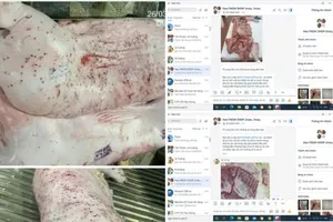 Podcast bản tin tối 31-5: Kiểm tra cửa hàng CP Fresh Shop: Giấy chứng nhận an toàn thực phẩm hết hạn | Phát hiện gần 6.000 sản phẩm mỹ phẩm không rõ nguồn gốc