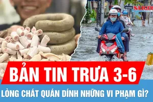 Bản tin trưa 3-6: Chiều nay miền Nam dễ dính mưa to | Lòng Chát Quán vi phạm gì?