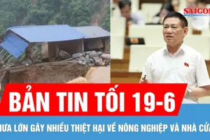 Bản tin tối 19-6: Mưa lớn gây nhiều thiệt hại | Áp thuế khoán hộ kinh doanh có doanh thu dưới 1 tỷ đồng