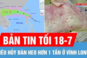 Bản tin tối 18-7: Điểm tương đồng giữa bão Wipha và bão Yagi; Tiêu hủy đàn heo hơn 1 tấn ở Vĩnh Long