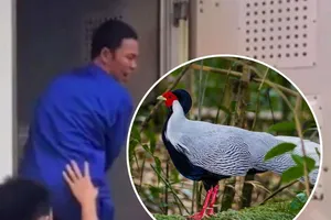 Nuôi động vật hoang dã: Làm gì để tránh “rắc rối gõ cửa”?