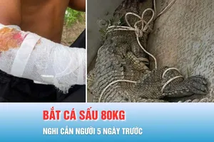Podcast bản tin tối 13-10: Bắt được cá sấu khủng, nghi cắn người 5 ngày trước