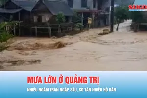Podcast bản tin tối 16-10: Mưa lớn ở Quảng Trị: Nhiều ngầm tràn ngập sâu, sơ tán khẩn cấp nhiều hộ dân