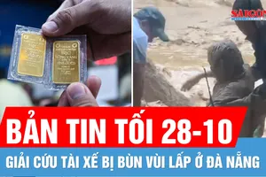 Bản tin tối 28-10: Cận cảnh giải cứu tài xế bị bùn vùi lấp ở Đà Nẵng; Vàng giảm không phanh