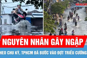 Sở Xây dựng TPHCM nêu giải pháp ứng phó với triều cường