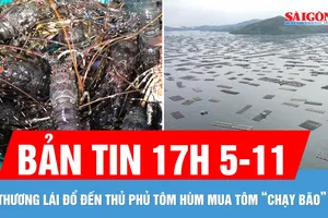 Bản tin 17 GIỜ 5-11: Thương lái đổ xô thu mua tôm hùm “chạy bão”