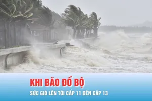 Podcast bản tin tối 6-11: Khi bão số 13 (Kalmaegi) đổ bộ, sức gió vẫn lên tới cấp 11 đến cấp 13