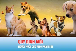 Podcast tin trưa 25-11: Những quy định bắt buộc đối với người nuôi chó mèo