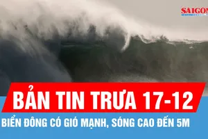 Bản tin trưa 17-12: Biển Đông có gió mạnh, sóng cao đến 5m