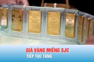 Podcast bản tin trưa 22-12: Giá vàng miếng SJC sáng đầu tuần tiếp tục tăng