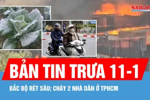 Bản tin trưa 11-1: Rét sâu bao trùm Bắc bộ, cảnh báo băng giá; Cháy hai căn nhà cạnh chợ Bình Trưng